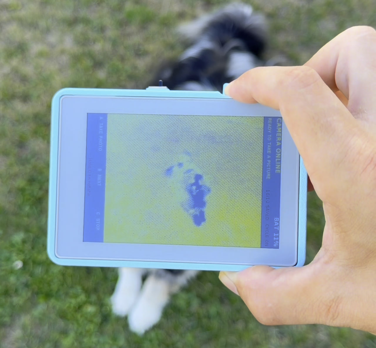 The PaperColor half held up outdoors, showing a photo of the dog it just received.